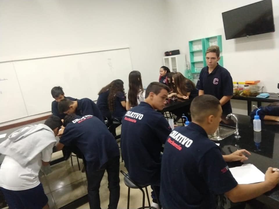 1ª série - Ensino Médio